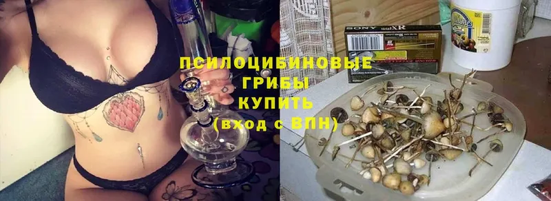 наркотики  гидра tor  Галлюциногенные грибы GOLDEN TEACHER  Орёл 